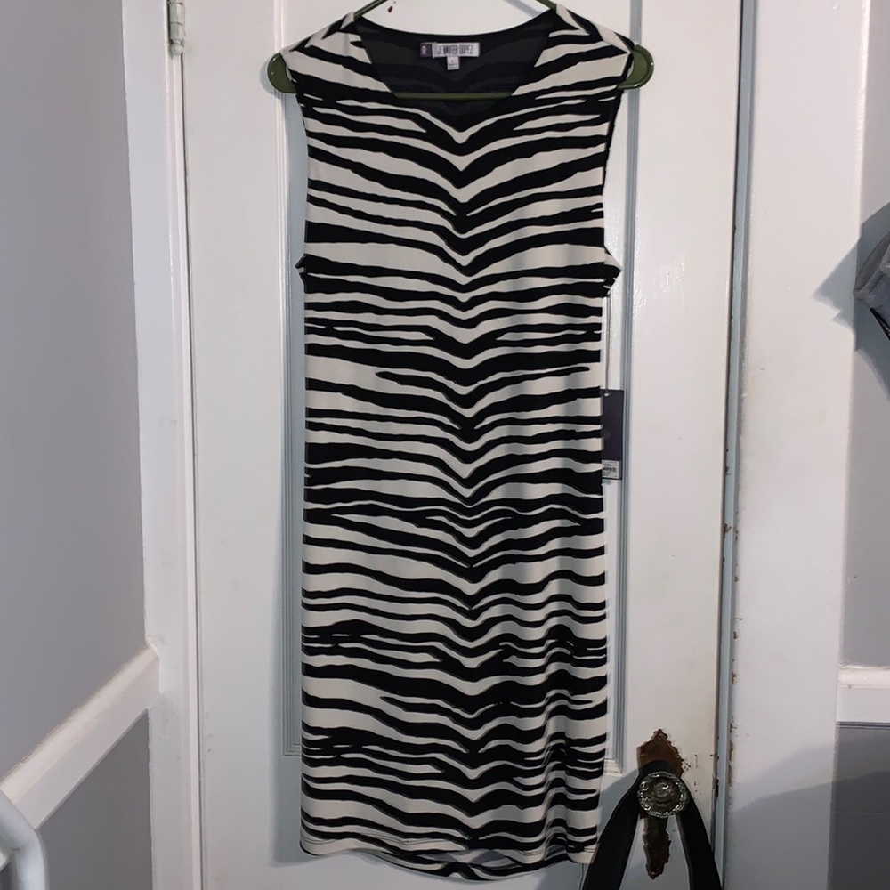Jennifer Lopez Dress